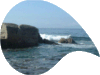 La mer et ses c�tes